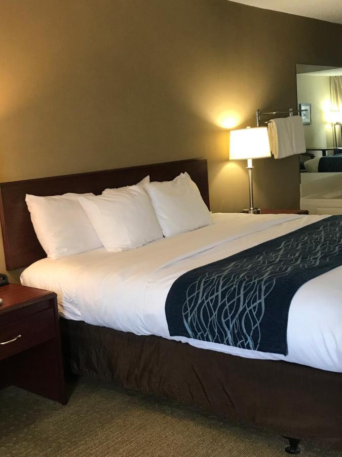 Comfort Inn Cambridge Eksteriør bilde